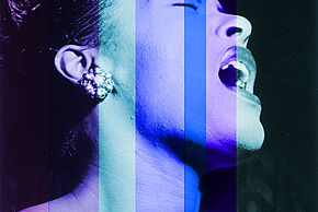 Agrandir l'image, fenêtre modale